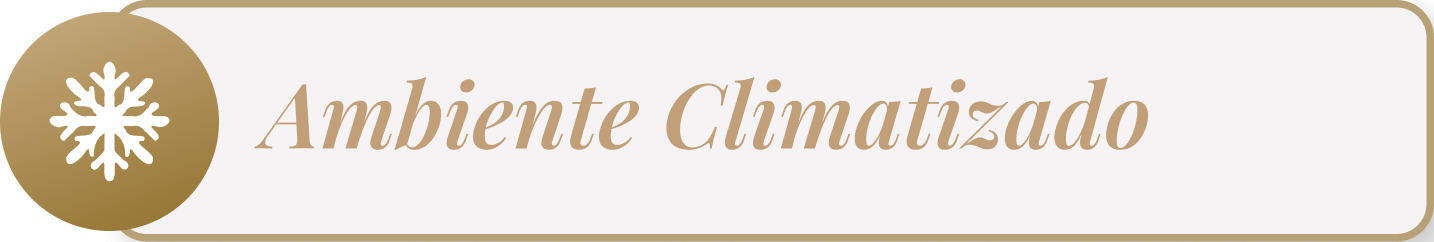 Bioplastia de Glúteos - V2 Clínica Vitaliza | Estética, Beleza e Saúde