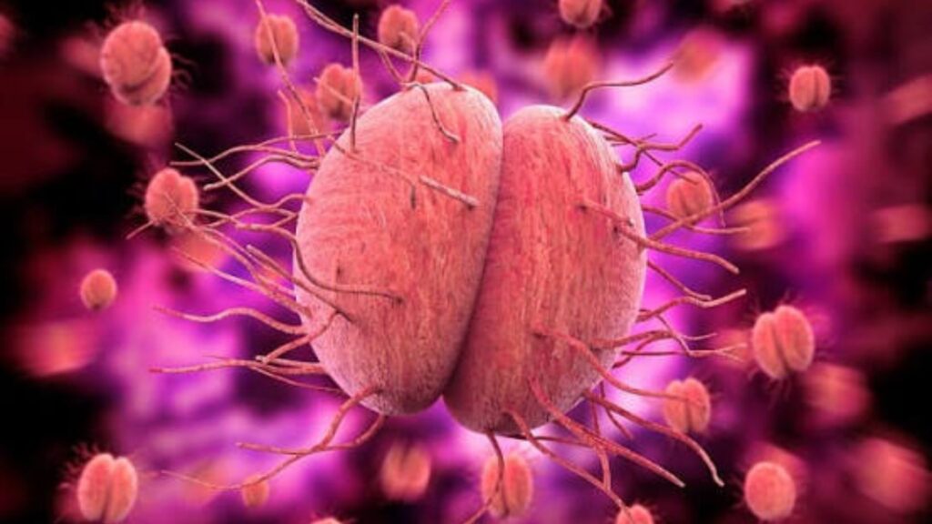 Clínica de Vacina Meningocócica ACWY em Barretos Clínica Vitaliza | Estética, Beleza e Saúde Vacina meningocócica ACWY na Clínica Vitaliza em Barretos, com o Dr Vagner Chiapetti. Agende sua avaliação e proteção completa.